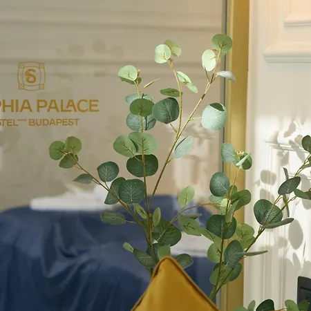 Sophia Palace Отель 4*